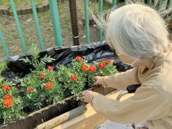 西棟6月余暇活動｜長岡三古老人福祉会