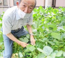 デイケア畑｜長岡三古老人福祉会