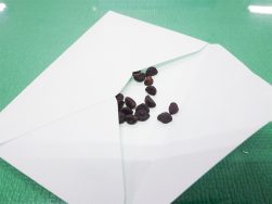 GIFT｜長岡三古老人福祉会