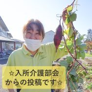 ☆入所介護部会からの投稿です☆｜長岡三古老人福祉会