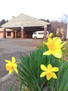 春の兆し見つけた｜長岡三古老人福祉会