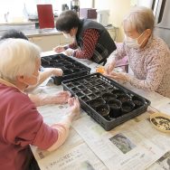 園芸活動始めました！｜長岡三古老人福祉会