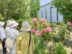 みつけイングリッシュガーデンへ🌹｜長岡三古老人福祉会