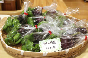 「夏野菜ができました！」｜長岡三古老人福祉会