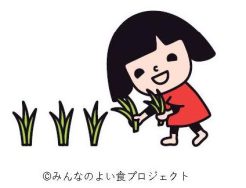 ともにつくるおこめ（苗を植える）｜長岡三古老人福祉会