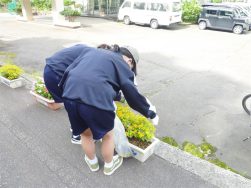 夏休み☆三島中学校｜長岡三古老人福祉会