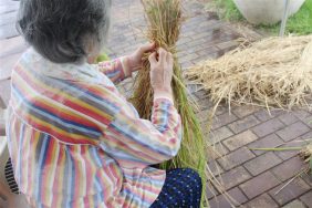 稲刈り｜長岡三古老人福祉会