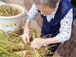 ともにつくるおこめ（出穂から稲刈りまで）｜長岡三古老人福祉会