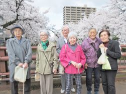 🌸福島江桜まつり🌸｜長岡三古老人福祉会