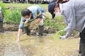 田植え・花植え｜長岡三古老人福祉会