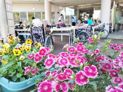 ∻∻∻🌼中庭で気分転換🌼∻∻∻｜長岡三古老人福祉会