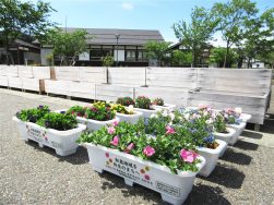 ともにつくるかだん（サテライト花壇始まる）｜長岡三古老人福祉会