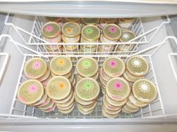 加勢牧場ガンジーアイスクリーム入荷！🍨｜長岡三古老人福祉会