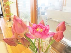 ともにあゆむ no.68｜長岡三古老人福祉会