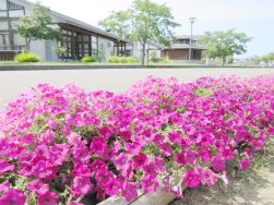 ともにあゆむ no.69｜長岡三古老人福祉会