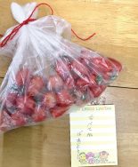 🍅トマト成長日記🍅｜長岡三古老人福祉会