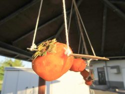 ともにあゆむ no.84｜長岡三古老人福祉会