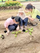 縄文の畑｜長岡三古老人福祉会