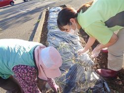 ともにあゆむ no.87｜長岡三古老人福祉会