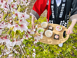 「観桜会」を開催いたしました｜長岡三古老人福祉会