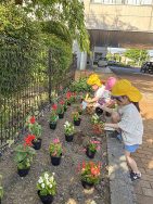 花いっぱい活動｜長岡三古老人福祉会