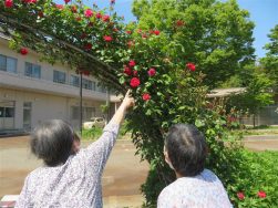 初夏を迎えた桐原の郷｜長岡三古老人福祉会