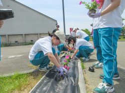 花壇のマルチ張り｜長岡三古老人福祉会