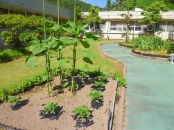 6月｜長岡三古老人福祉会