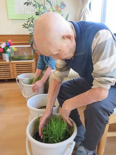 今週の一枚R08年06月09日|長岡三古老人福祉会