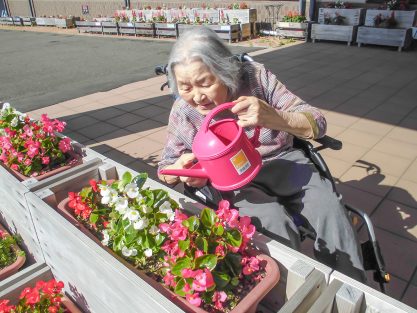 今週の一枚R08年06月15日|長岡三古老人福祉会