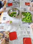 梅仕事の季節がやってきました｜長岡三古老人福祉会