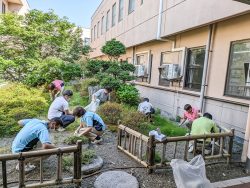 中庭の 草取り｜長岡三古老人福祉会