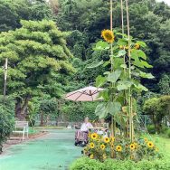 It’s summer!｜長岡三古老人福祉会