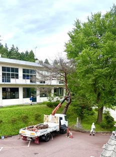 今週の一枚R08年08月03日｜長岡三古老人福祉会