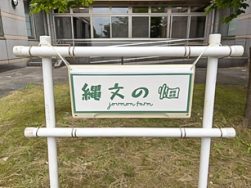 縄文の畑　トマト大豊作｜長岡三古老人福祉会
