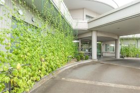 涼やかなグリーンカーテンとおもてなしの気持ちでお迎えします｜長岡三古老人福祉会