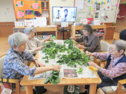 畑の枝豆収穫｜長岡三古老人福祉会
