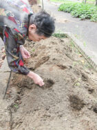 大根の種まきをしました🌱｜長岡三古老人福祉会