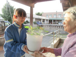 江陽中学校の生徒さんからお花のプレゼント｜長岡三古老人福祉会